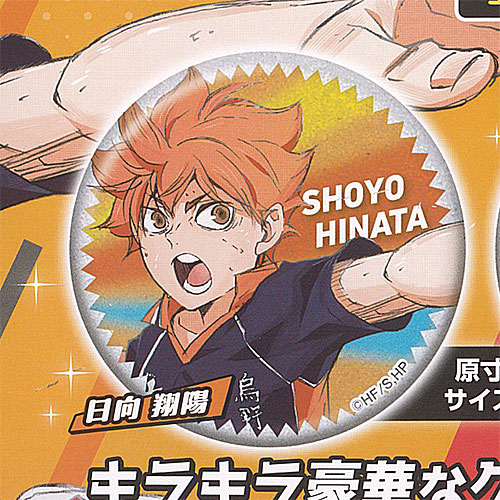 ハイキュー 日向翔陽 缶バッジ アクリルスタンド まとめ売り 日向翔陽