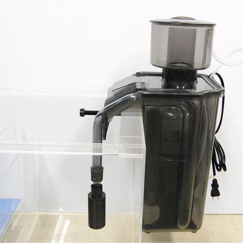 楽天市場】【全品ポイント5倍】カミハタ 海道達磨 プロテインスキマー