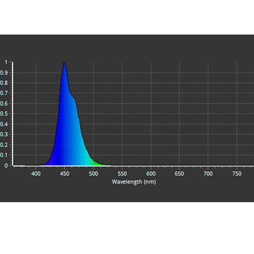 楽天市場】【全品ポイント5倍】≪初回限定ソケット付≫ ZOOX スーパー