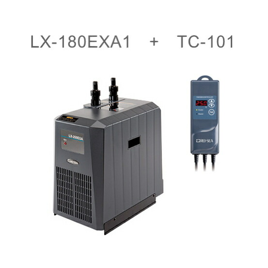 クーラー レイシー」の人気商品一覧 | 安い商品を通販サイトから探す