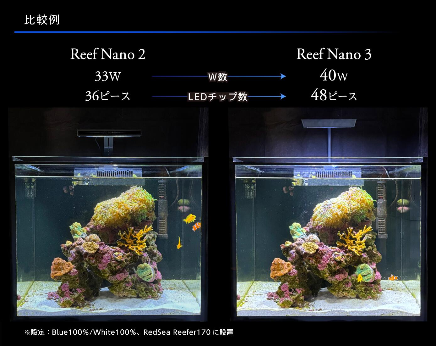 楽天市場】ZOOX 海水 珊瑚 LED ReefNano3 リーフナノ3 : アクアクラフト