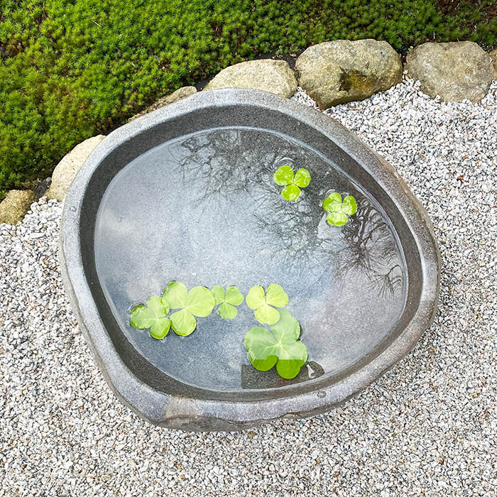 楽天市場】睡蓮鉢 スイレン鉢 （45.5×41×15cm 23kg No.13）【 水鉢 石