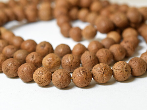 楽天市場】【2211】ネパール鳳眼菩提樹ビーズ一連ロングA(Φ14～16mm