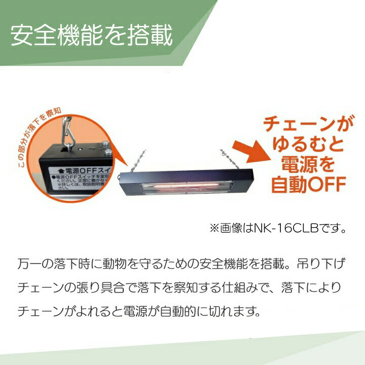 楽天市場】【1/25〜2/25開催！当選確率1/2☆最大100%P還元！要