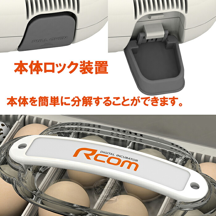 楽天市場】ビッグママ50DO 全自動孵卵器(ふ卵器・孵卵機) : eバード