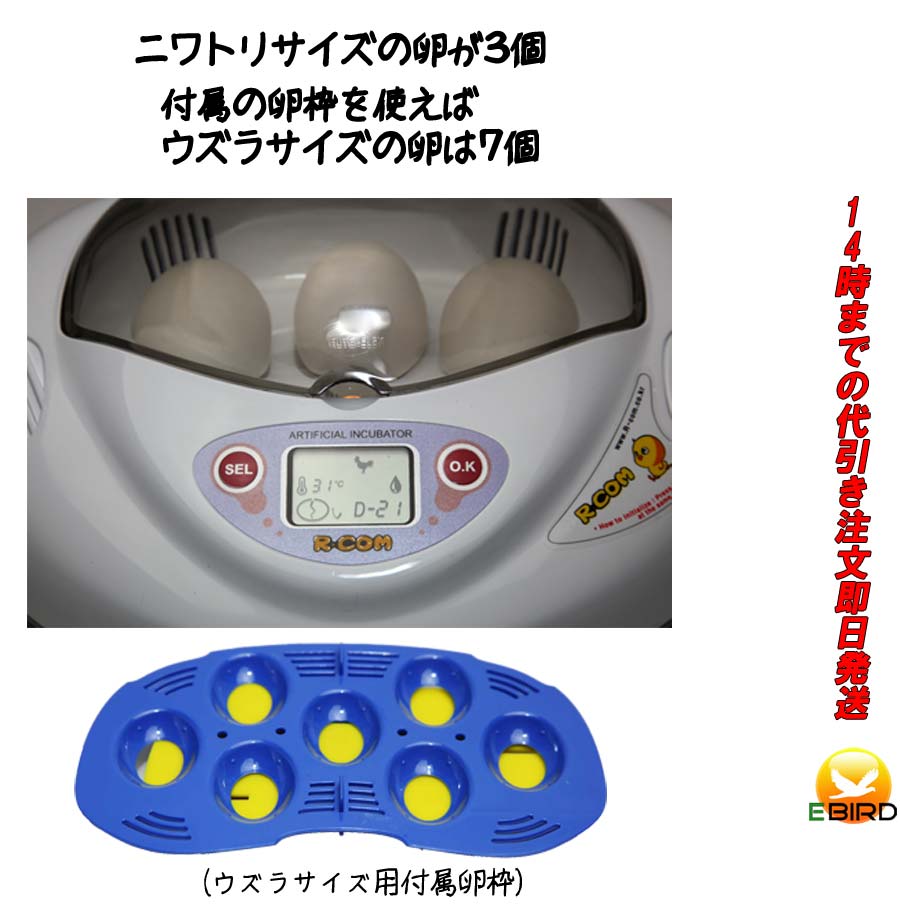 Rcom PK-03 リトルママ 小型自動孵化器 楽天市場】リトルママ 小型自動