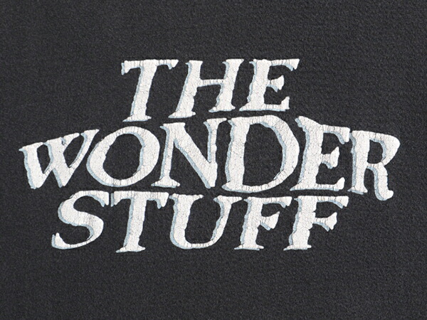 90s ワンダースタッフ Tシャツ バンド バンT アメリカツアー 90s