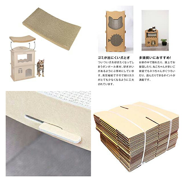 楽天市場】【本日P4倍】 Petique ペティーク コンドミニアム キャット