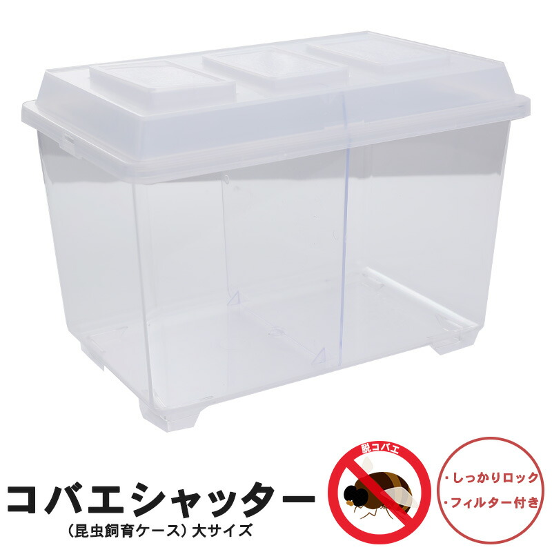 楽天市場】むしや本舗 コバエシャッター 昆虫飼育ケース フィルター