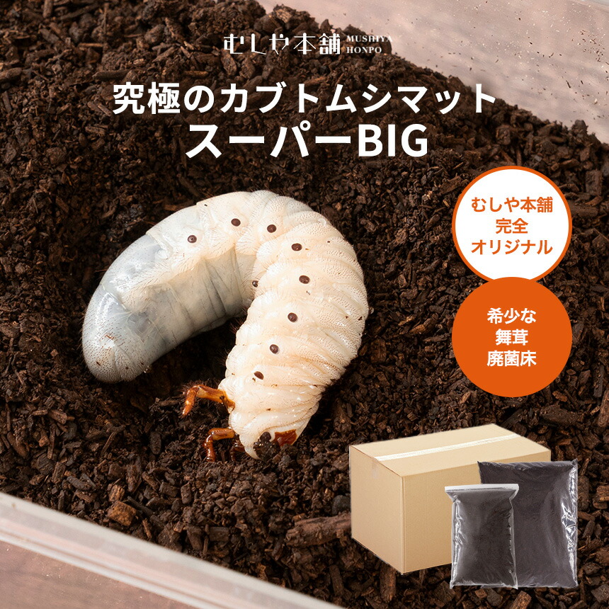 楽天市場】超高カロリー 廃菌床 カブトムシマット スーパーBIG むしや