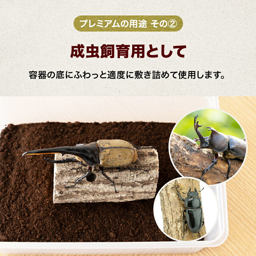 特大20Lボックス入プレミアム発酵マット☆カブトムシ幼虫を入れるだけ