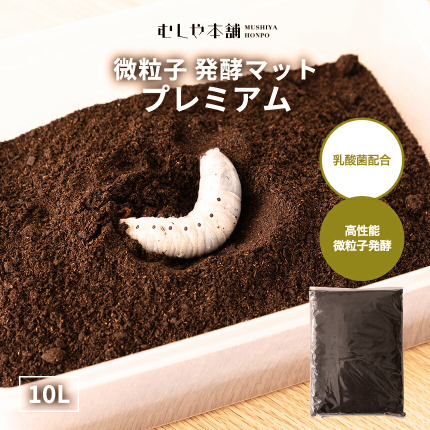 2セット】カブトムシ幼虫を入れるだけ！プレミアム発酵マット入り