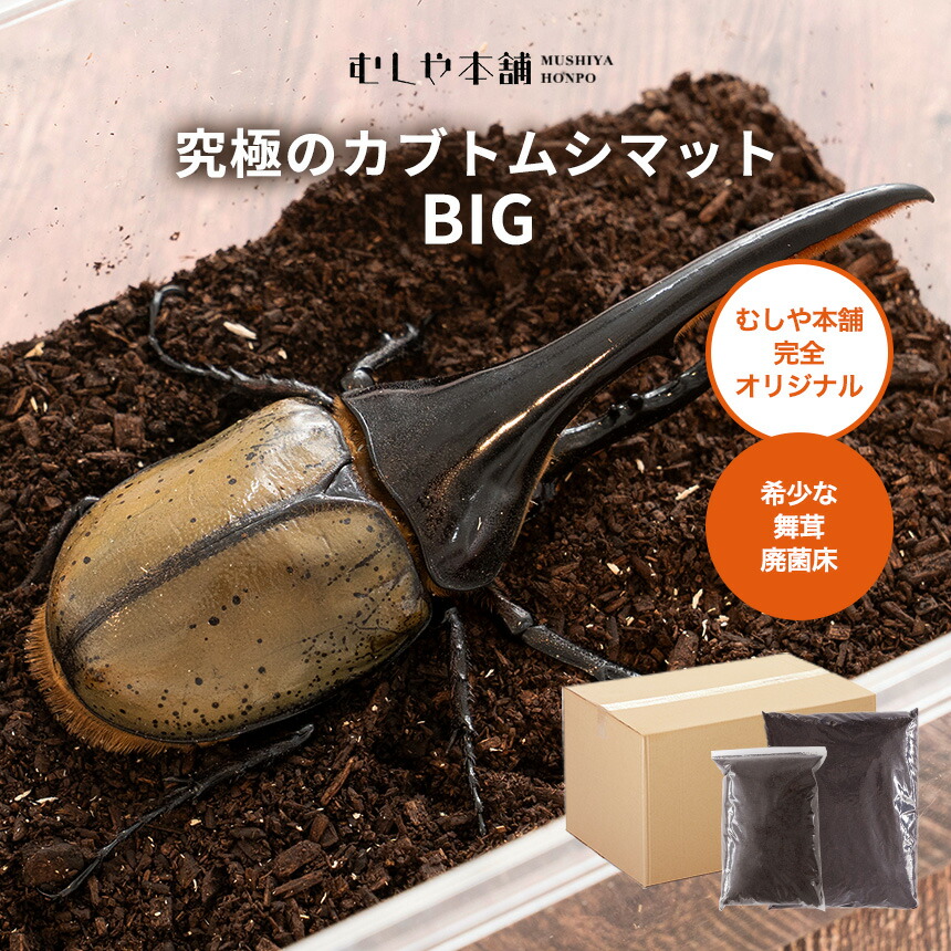 楽天市場】むしや本舗 高カロリー! 廃菌床発酵 カブトムシ マット BIG