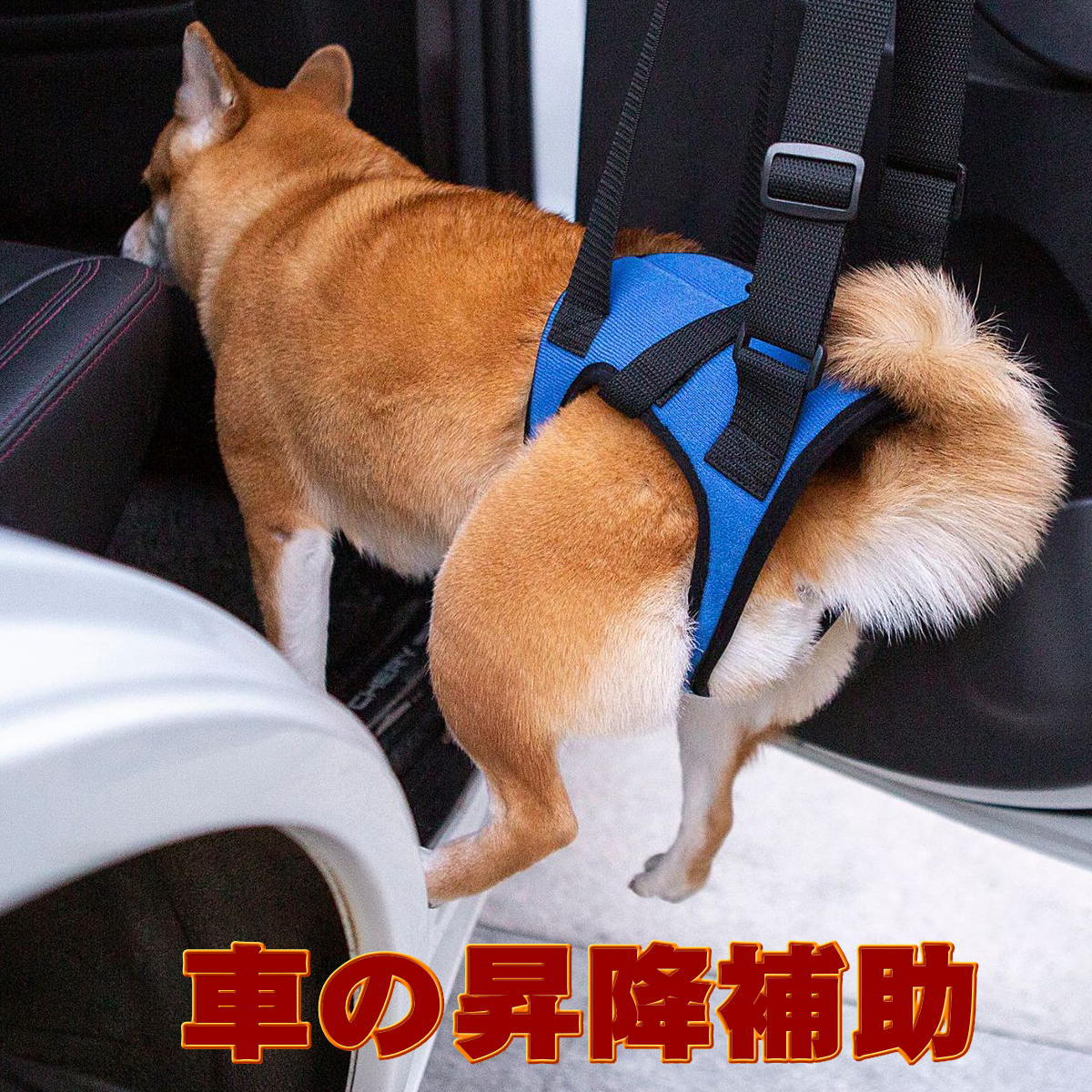 楽天市場】【楽天ランキング1位受賞】＜新商品！＞犬 介護 ハーネス
