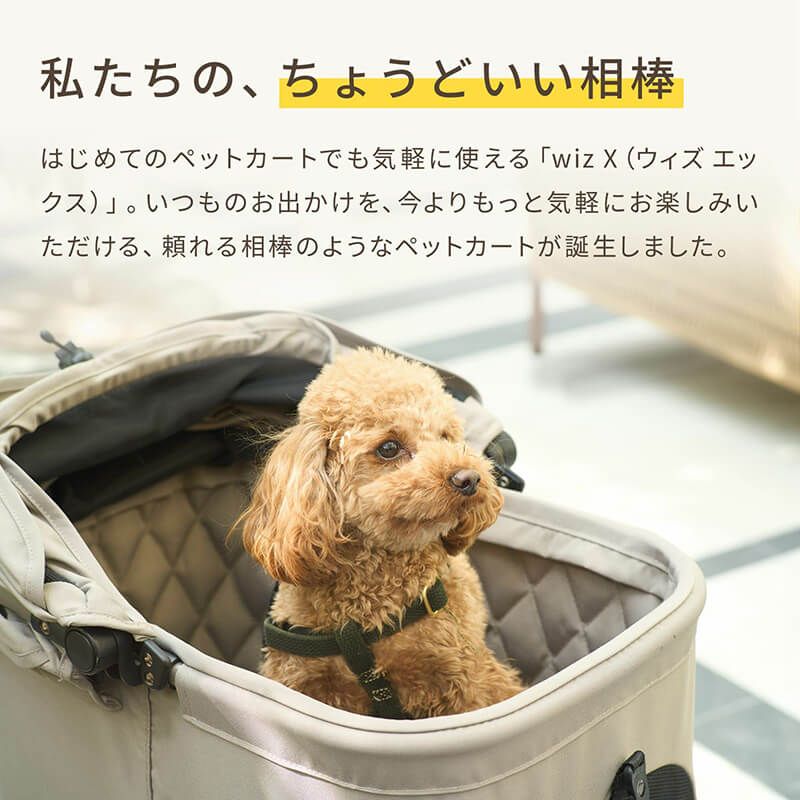 楽天市場】【新色VIOLET STONE / FOREST MOSS登場！】エアバギー WIZ X