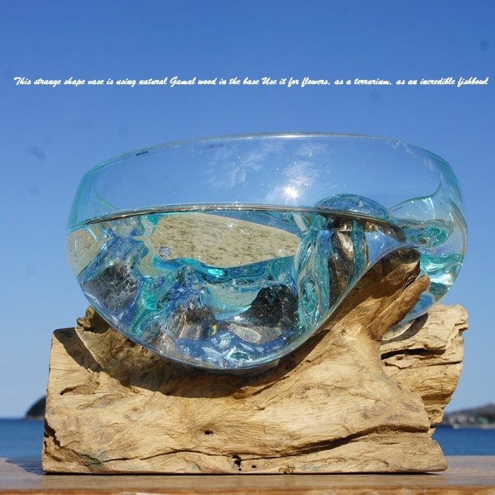 流木ガラス オブジェ特大A 花瓶 金魚鉢 ガーデニング テラリウム 観賞