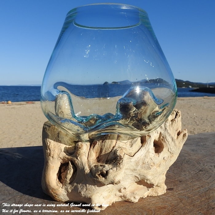 流木ガラス オブジェ中P 花瓶 金魚鉢 ガーデニング テラリウム 観賞魚