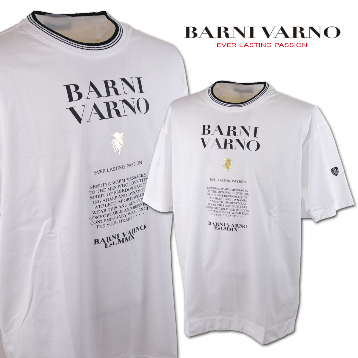 バーニヴァーノ(barni varno) メンズTシャツ・カットソー | 通販・人気