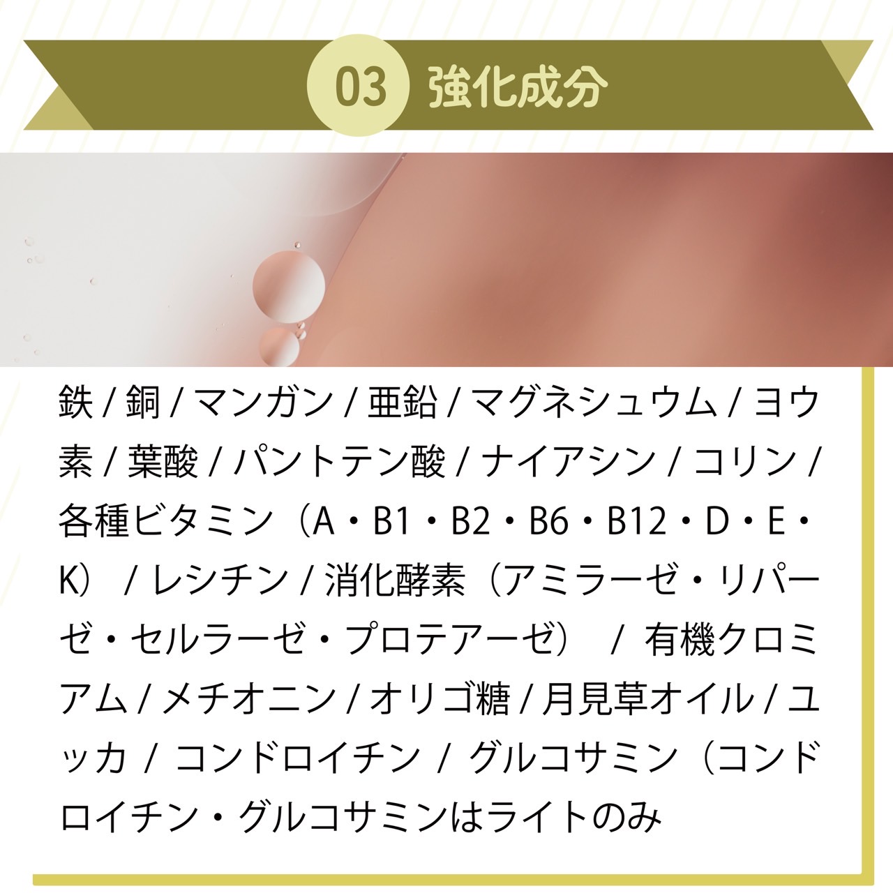 楽天市場】AZ アゼットドッグフード アダルト(成犬用) 10kg ブリーダー