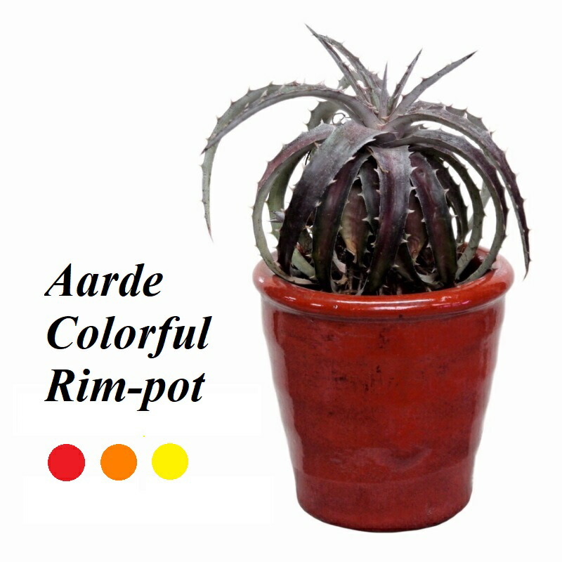 楽天市場】植木鉢 おしゃれ 陶器鉢 C9380リムポット(3色)＜ 13cm 4号