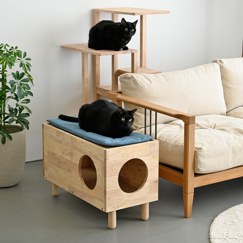 楽天市場】キャットハウス サイドテーブル ミニテーブル ペット 家