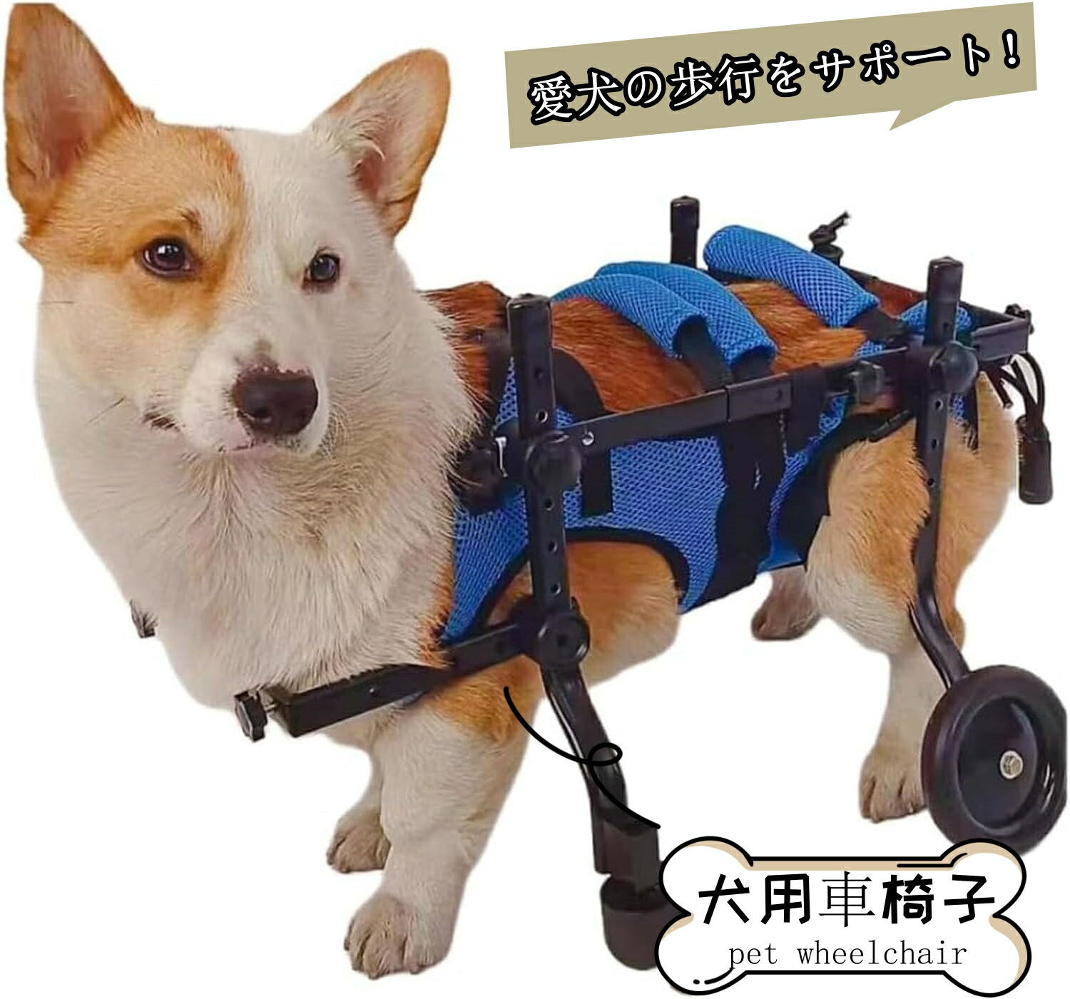 犬用車椅子（コーギー）