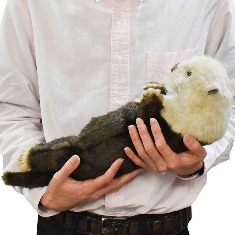 楽天市場】HANSA 8145 ラッコ 42 全長：42cm SEA OTTER ぬいぐるみ