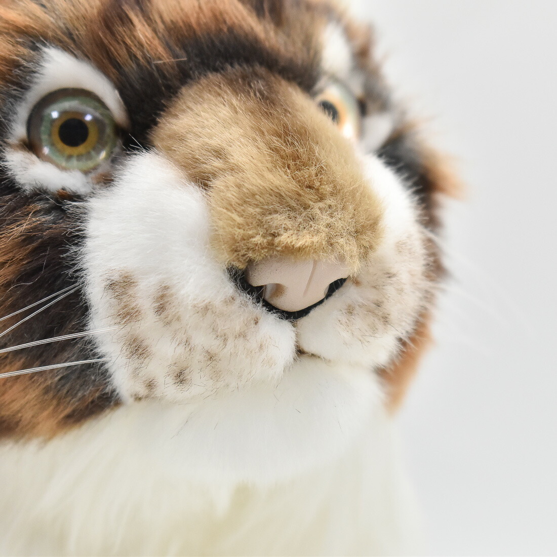 楽天市場】HANSA 7128 ピューマ(コ)30 全長：30cm COUGAR CUB BH7128