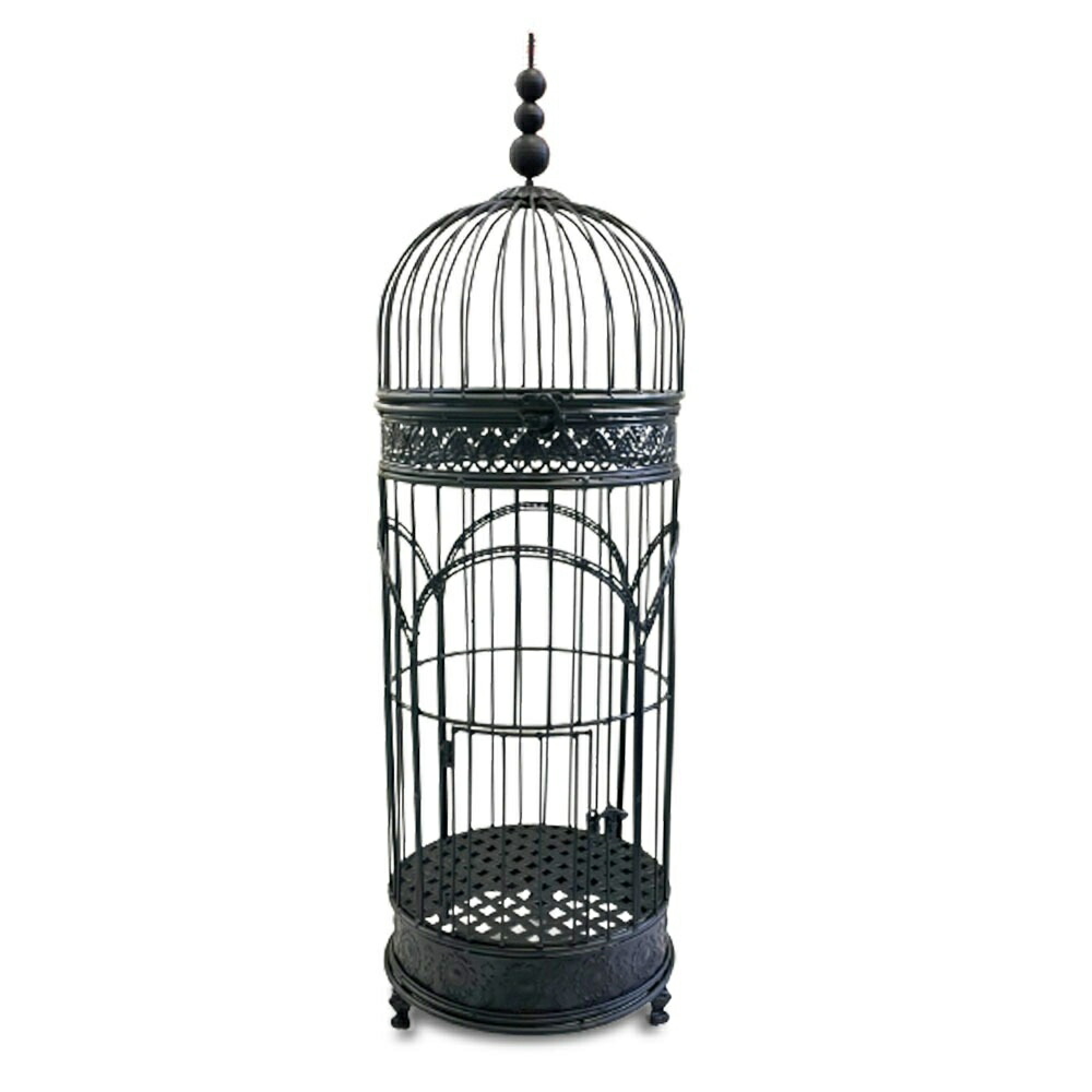 楽天市場】【在庫限り】【ランキング1位5冠達成】 【人気商品】ペット