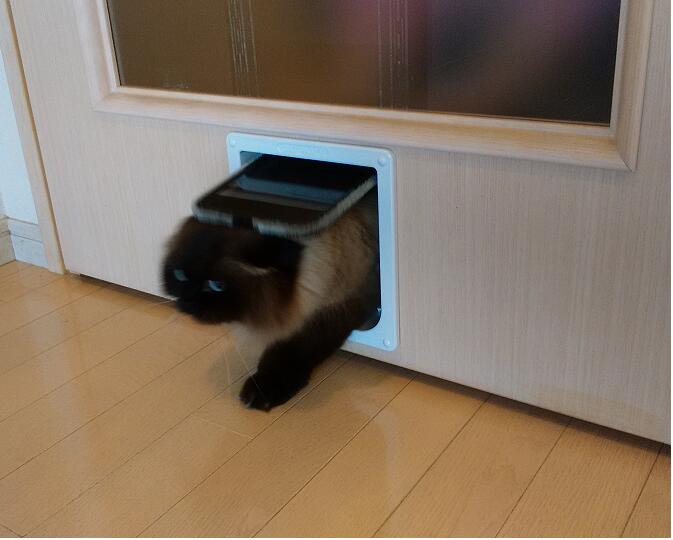 楽天市場】安心の旧PET-MATE正規品（closer pets)猫ドアR235（白