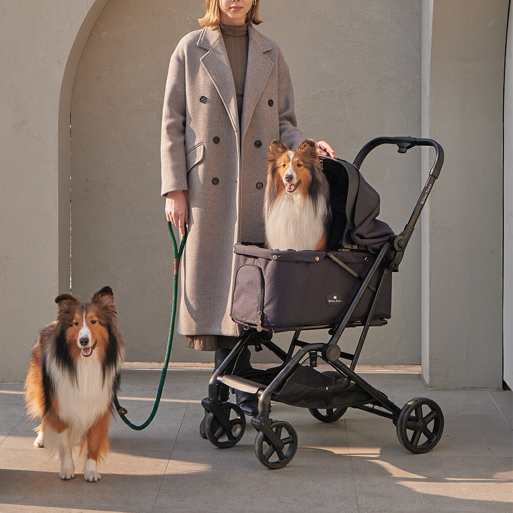 楽天市場】【ROYAL TAILS】Florence ロイヤルテイルズ フローレンス 全