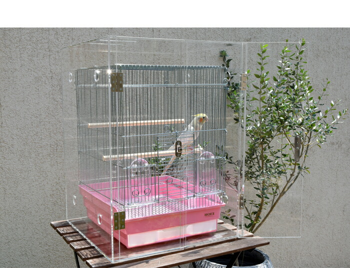 楽天市場】【プレミアム】W500×H750×D450 アクリル バードケージ
