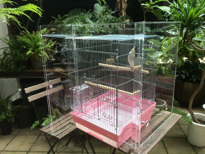 楽天市場】【プレミアム】W500×H750×D450 アクリル バードケージ