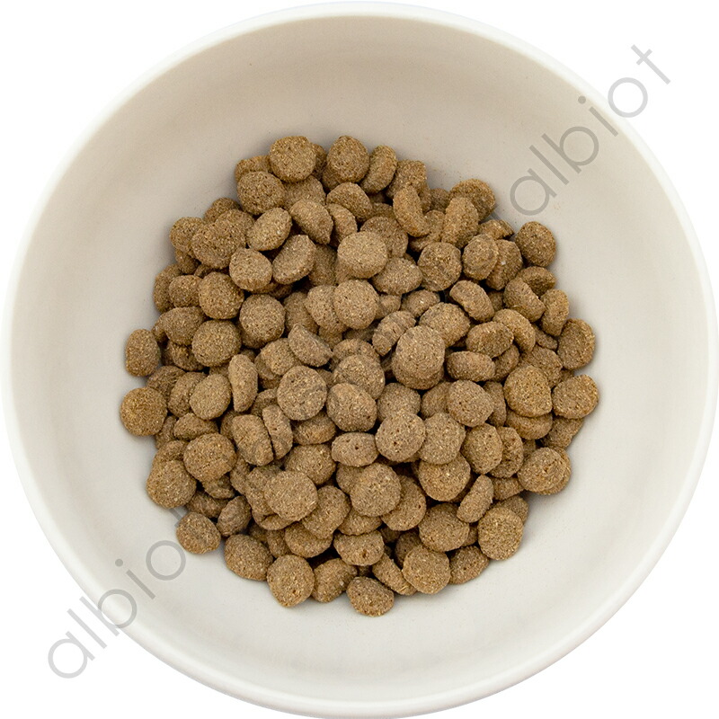 楽天市場】【2月10日終日開催 1等最大100%ポイントバック！※要