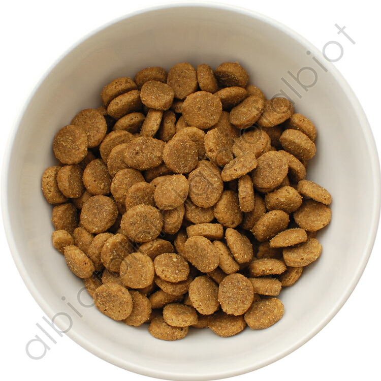 楽天市場】アーテミス アガリクス イミューンサポート I/S 中粒