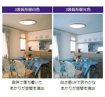 楽天市場】ホタルクス ホタルックスリムD 高周波専用蛍光ランプ 残光