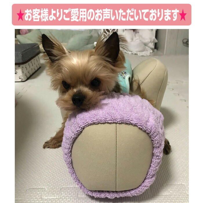 楽天市場】アロン化成 リラクッション M ブラウン 5191987 姿勢