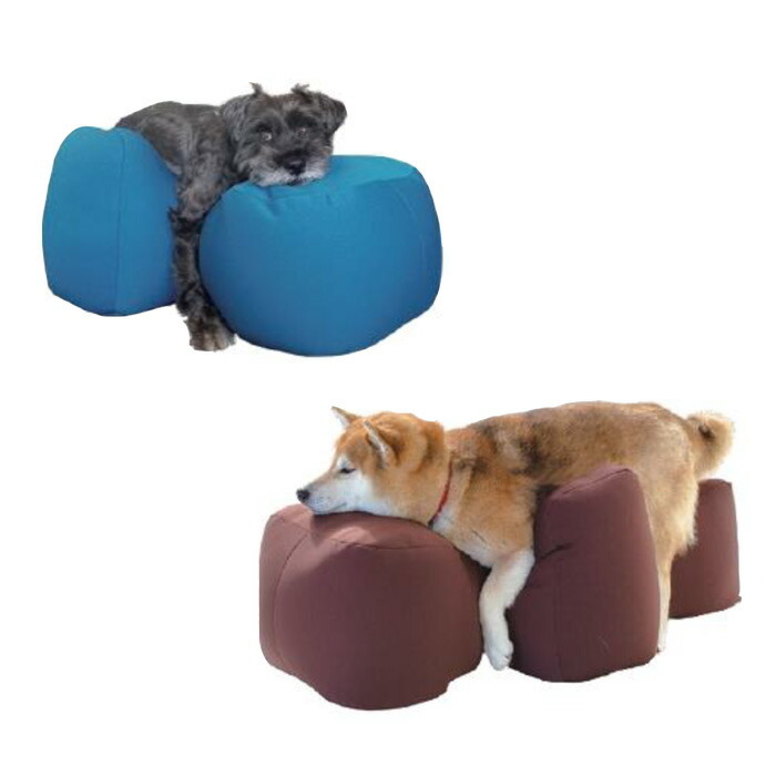 楽天市場】アロン化成 リラクッション DM ブルー 5191976 姿勢