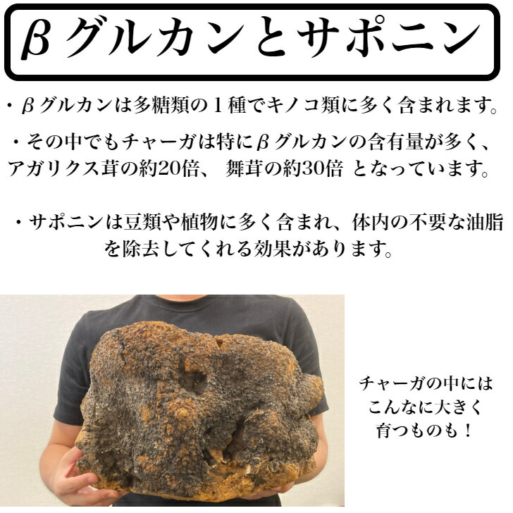 カバノアナタケ 2kg 【公式通販】