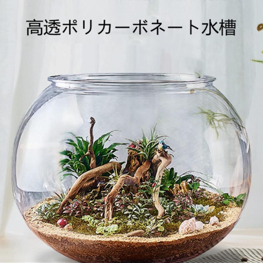 楽天市場】金魚鉢 丸型金魚鉢 高プラスチック透明アクリル 観葉植物