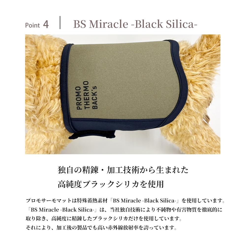 楽天市場】【最大2000円OFFクーポン配布中】 プロモサーモバックス