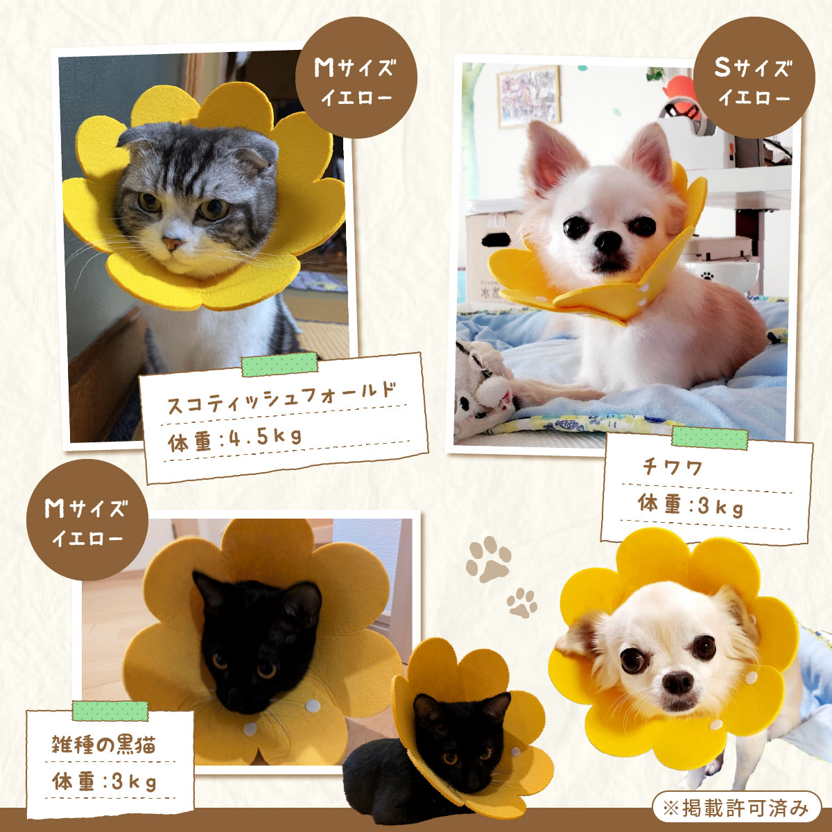 楽天市場】【ランキング入賞品】エリザベスカラー 猫 犬 カラー ソフト