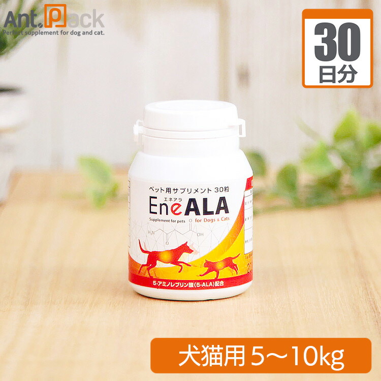 楽天市場】エネアラ 犬猫用 体重5kg〜10kg 1日1粒30日分 : ペット用