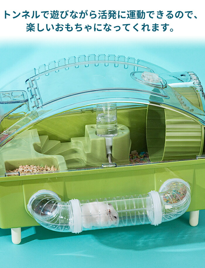 楽天市場】ハムスター ケージ 7点セット 2階建て飼育ケージ 大きめ