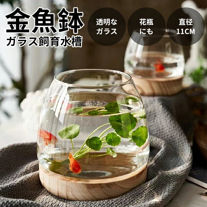 楽天市場】金魚鉢 おしゃれ 金魚 メダカ 水槽 室内 容器 鉢 ミニ水槽