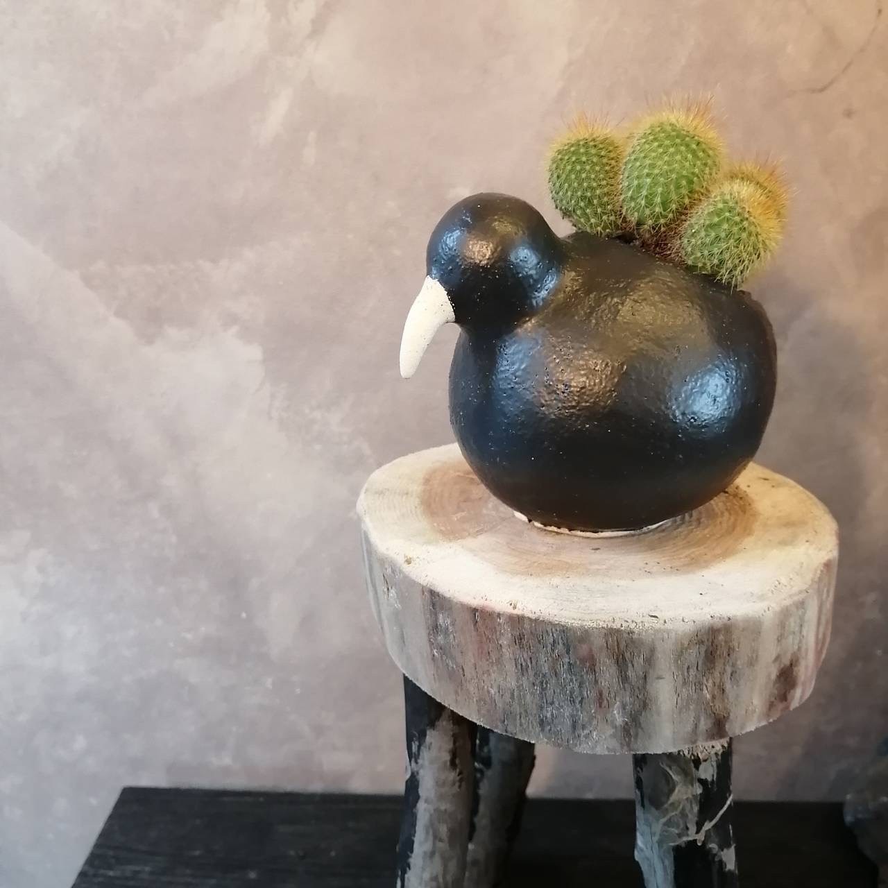 楽天市場】【キウイ鳥鉢の金晃丸】サボテン 観葉植物 アニマル 陶器鉢