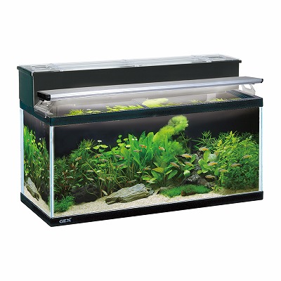 楽天市場】アクアF数量限定大特価！【GEX】マリーナスリム900