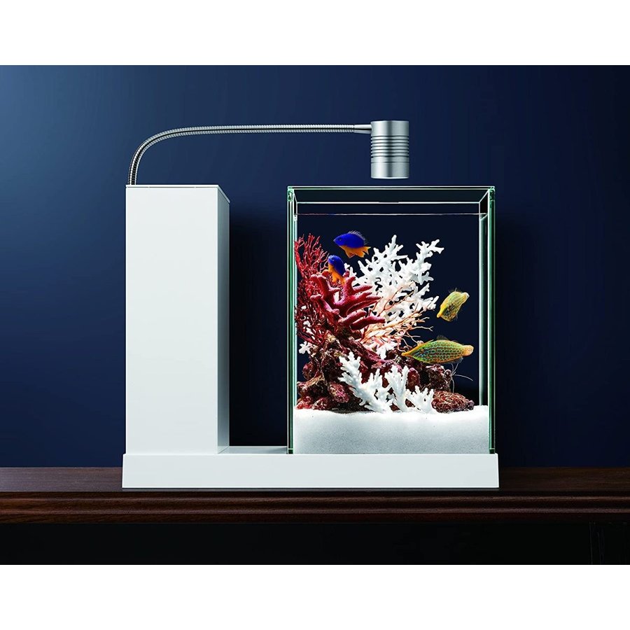 楽天市場】GEX AQUA-U (アクアユー)オールインワン水槽セット