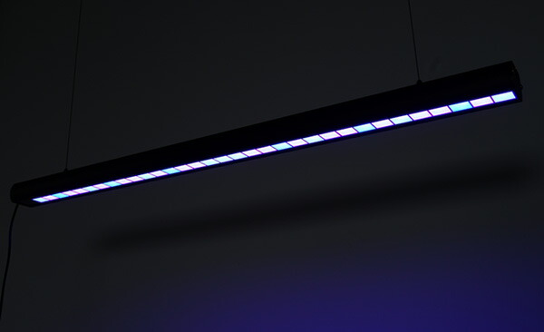 楽天市場】【お取り寄せ】ZOOX Actinic Shiner 90 アクティニック