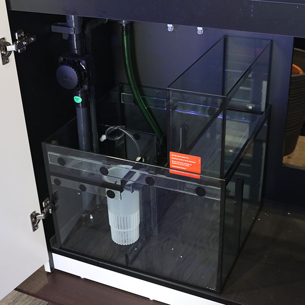 レッドシー、リーファ250、AIプライム、バブルラッシュ、クーラー